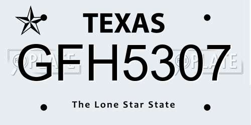 GFH5307 Texas License Plate