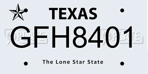GFH8401 Texas License Plate
