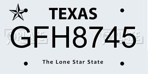 GFH8745 Texas License Plate