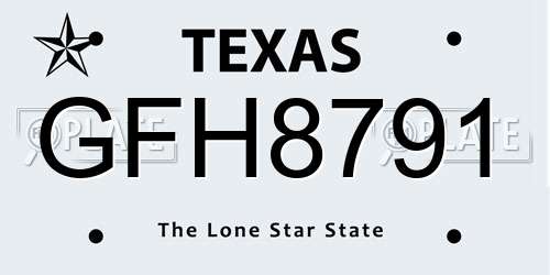 GFH8791 Texas License Plate