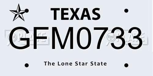 GFM0733 Texas License Plate