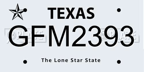 GFM2393 Texas License Plate