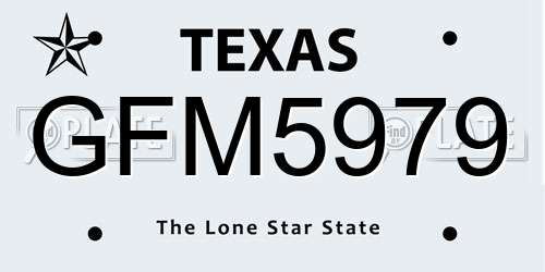 GFM5979 Texas License Plate