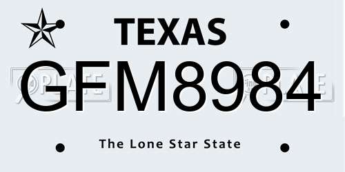 GFM8984 Texas License Plate