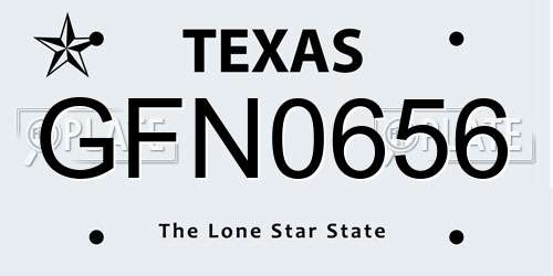 GFN0656 Texas License Plate