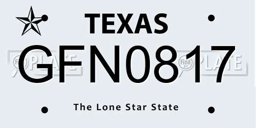 GFN0817 Texas License Plate