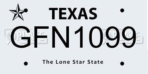 GFN1099 Texas License Plate