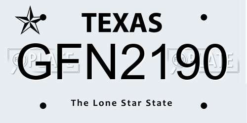 GFN2190 Texas License Plate