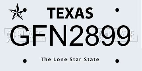 GFN2899 Texas License Plate