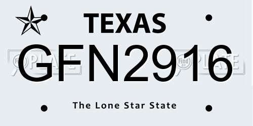 GFN2916 Texas License Plate