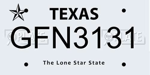 GFN3131 Texas License Plate
