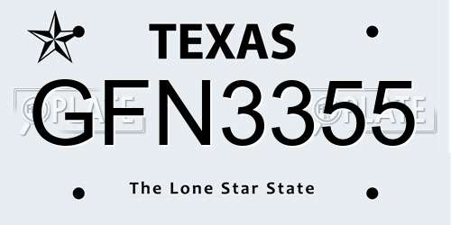 GFN3355 Texas License Plate