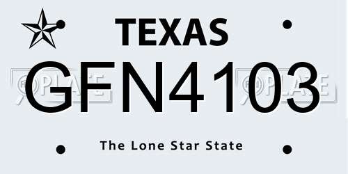 GFN4103 Texas License Plate
