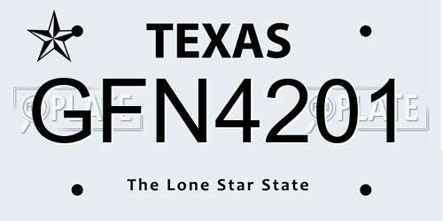 GFN4201 Texas License Plate