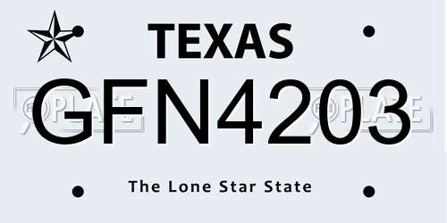 GFN4203 Texas License Plate
