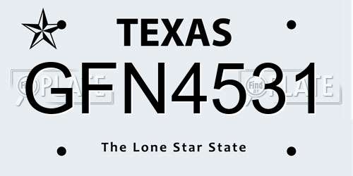 GFN4531 Texas License Plate