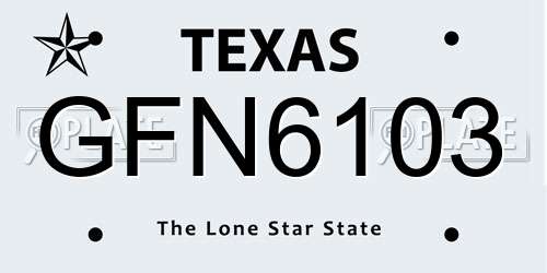 GFN6103 Texas License Plate