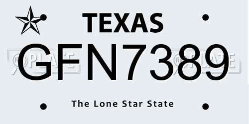 GFN7389 Texas License Plate