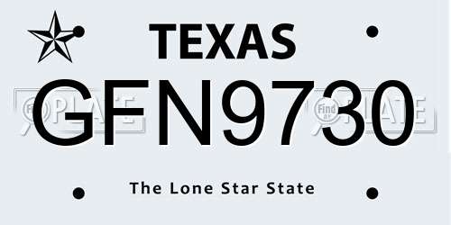 GFN9730 Texas License Plate