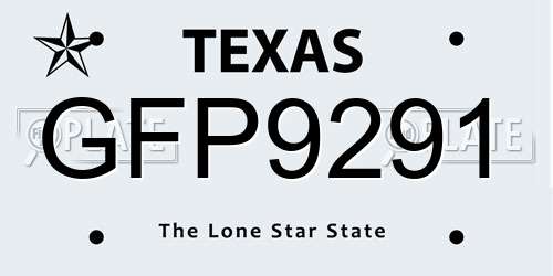 GFP9291 Texas License Plate