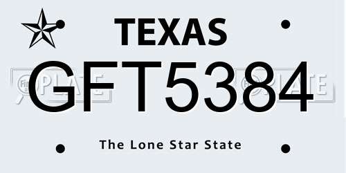 GFT5384 Texas License Plate
