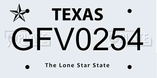 GFV0254 Texas License Plate