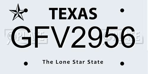 GFV2956 Texas License Plate