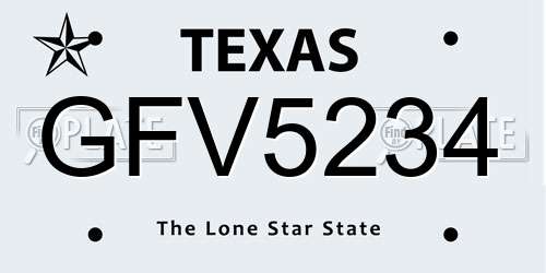 GFV5234 Texas License Plate