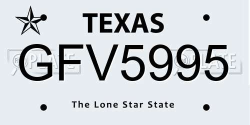 GFV5995 Texas License Plate