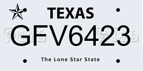 GFV6423 Texas License Plate