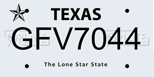 GFV7044 Texas License Plate
