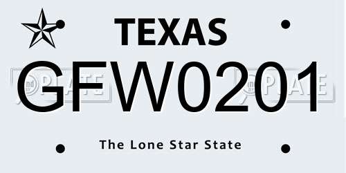 GFW0201 Texas License Plate