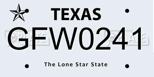 GFW0241 Texas License Plate