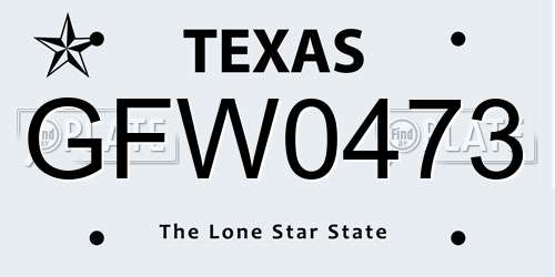 GFW0473 Texas License Plate