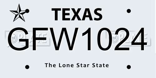 GFW1024 Texas License Plate