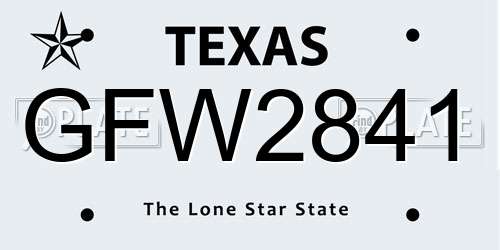 GFW2841 Texas License Plate