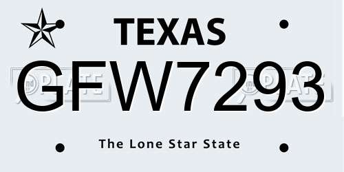 GFW7293 Texas License Plate
