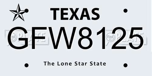 GFW8125 Texas License Plate