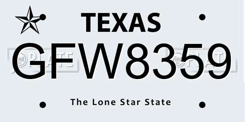 GFW8359 Texas License Plate