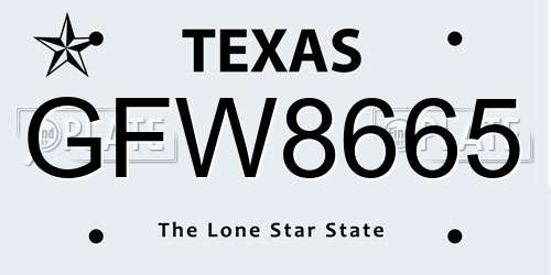 GFW8665 Texas License Plate