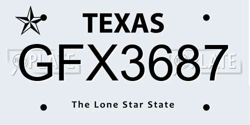 GFX3687 Texas License Plate
