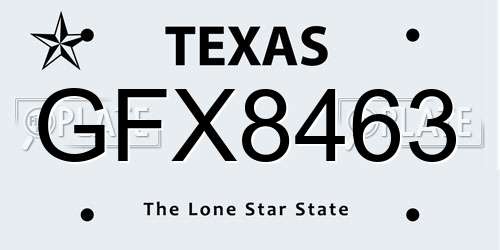 GFX8463 Texas License Plate