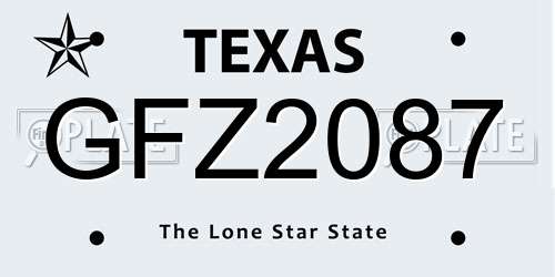 GFZ2087 Texas License Plate