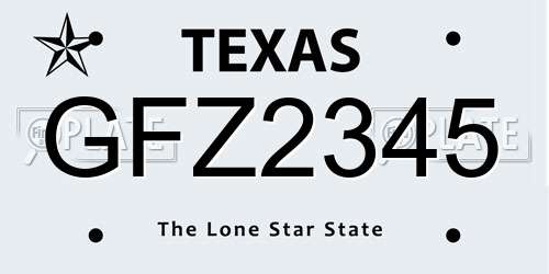 GFZ2345 Texas License Plate