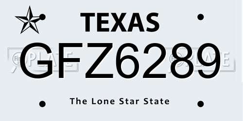 GFZ6289 Texas License Plate