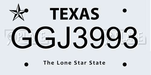 GGJ3993 Texas License Plate