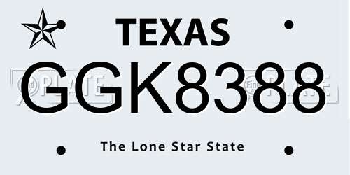 GGK8388 Texas License Plate