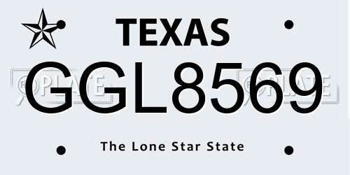 GGL8569 Texas License Plate