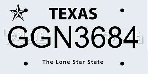 GGN3684 Texas License Plate