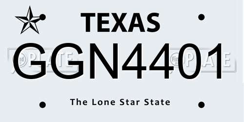 GGN4401 Texas License Plate